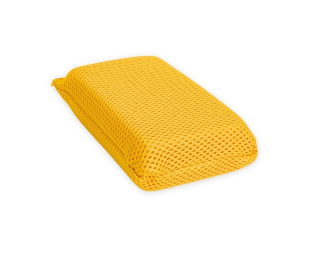Golden bug mesh sponge